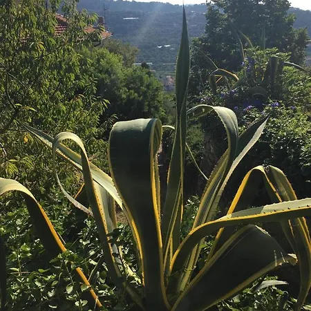 La Costa Country Seaview Holiday home *
